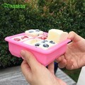 Baby Food and Breast Milk Freezer Tray